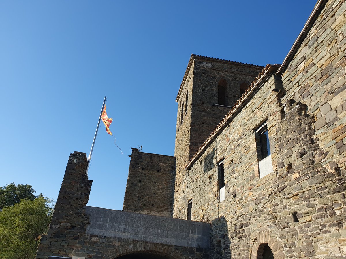 Joan C. Rodríguez tweet media