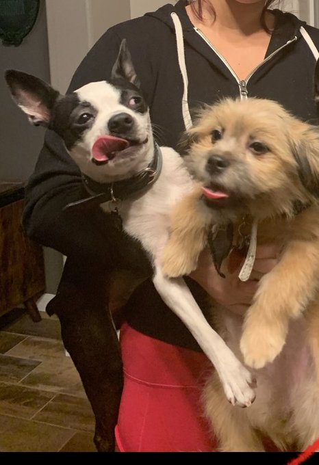 Same vibe @ShotziWWE https://t.co/BMAH9lWOzp<a class="tags" target="_blank" title="On Twitter" href="/?out=eyJ0eXAiOiJKV1QiLCJhbGciOiJIUzUxMiJ9.eyJpYXQiOjE3MjI0Njc2NjksImlzcyI6InR3cG9ybnN0YXJzLmNvbSIsIm5iZiI6MTcyMjQ2NzY2OSwiZXhwIjoxNzU0MDAzNjY5LCJyZWRpcmVjdF91cmwiOiJodHRwczovL3R3aXR0ZXIuY29tL1Nob3R6aVdXRSJ9._0rtZeRnWI3qxxmeQyfJs5H4k-7L7s30irxQ3DohJfJnN88Co60gdH8FVLIK8Ss2aE4wg34X4_2MNANOOPwWgQ">@ShotziWWE</a>