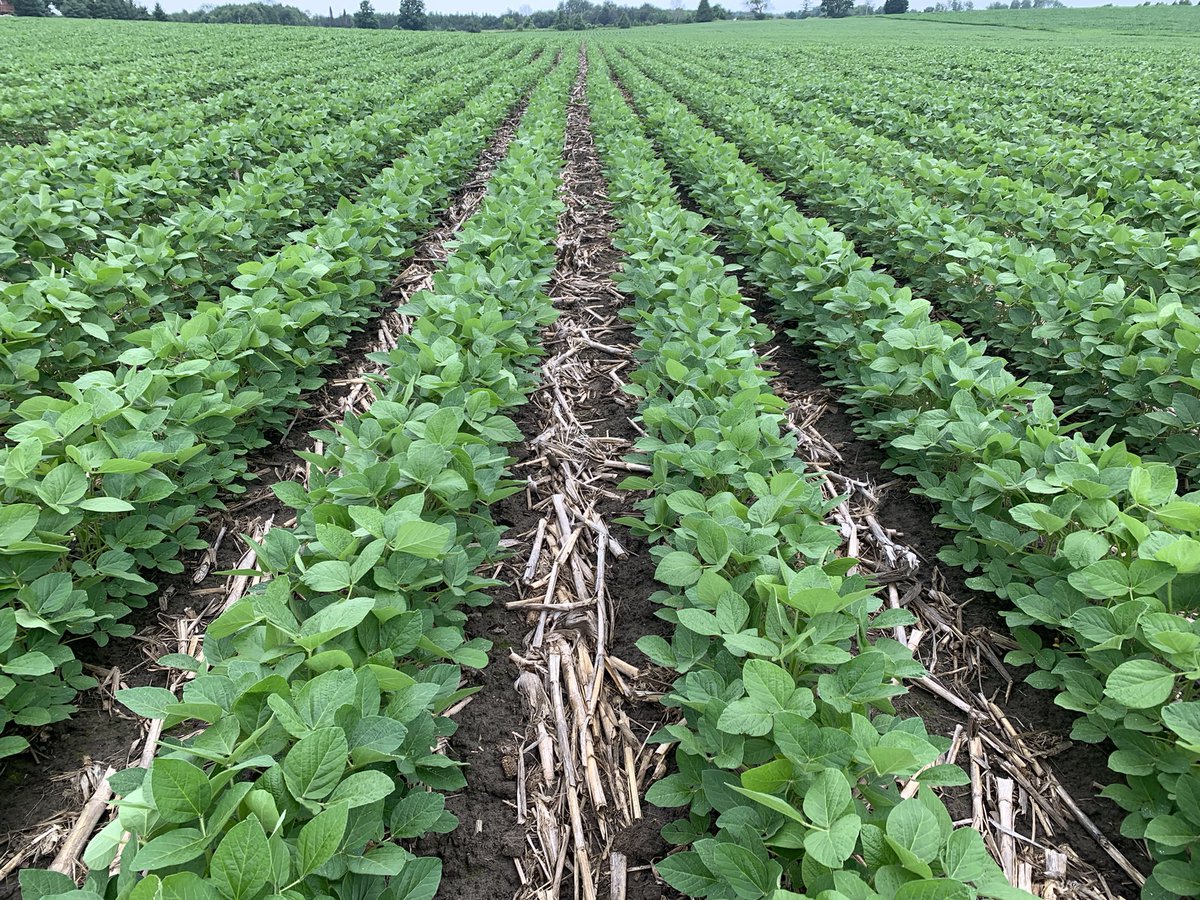 Seed production made easy