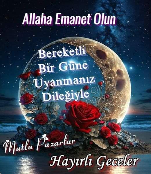 mervebtr64's tweet photo. `°★.',☆ #MutLu___Pazarlar
••#Huzurlu #Gecelerr••¨¨˜”°º★
(　　☆* #Rabbime #Emanetsiniz ¤☆
`★.¸¸¸. •°´. 💦🌹
¨¨˜”°º★#SeVGiLeRimle.💦¨¨˜”°º★ https://t.co/LFWtaqTan2
