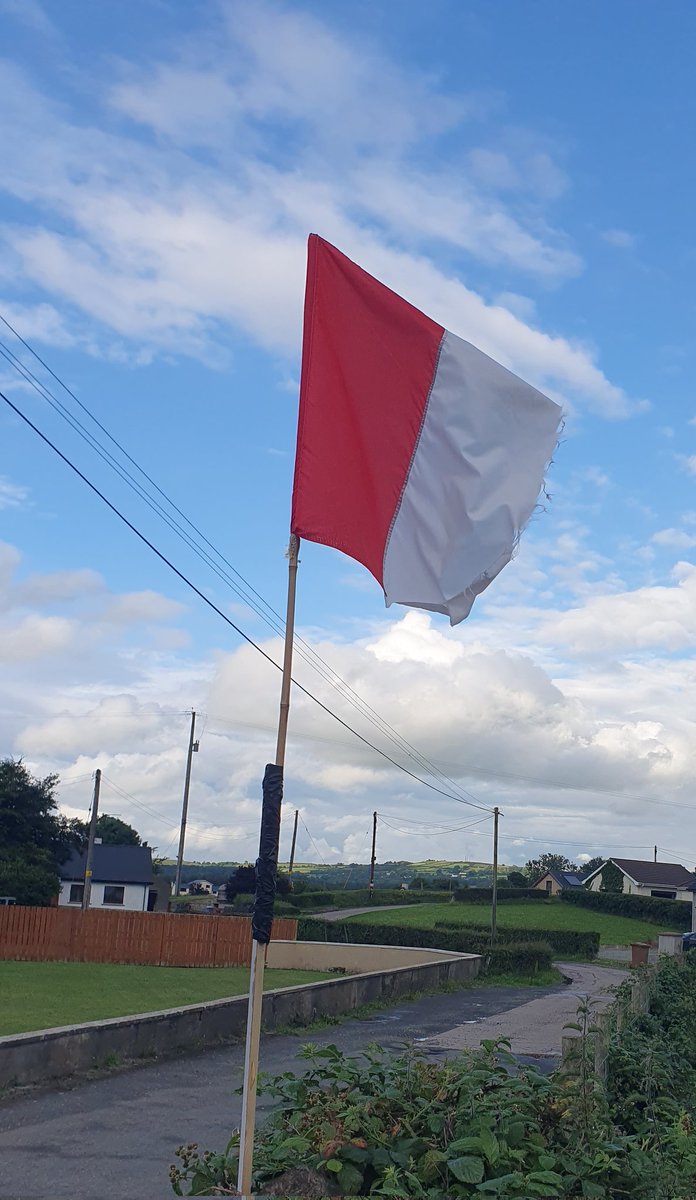 LaoiseMawhinney's tweet photo. Daddy's '93 flag flying high for @Doiregaa semi-final #doireabú https://t.co/eqornEaBEb
