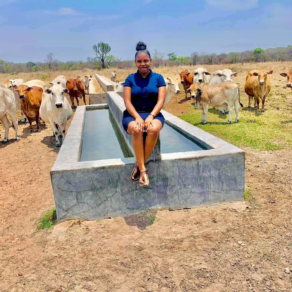 Gentlemen these are the type of cow’s women expect to come home