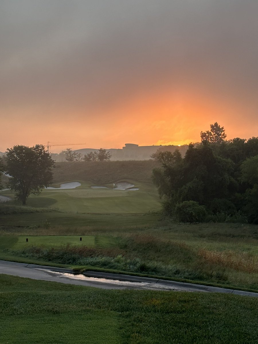 Taylor Olson tweet media