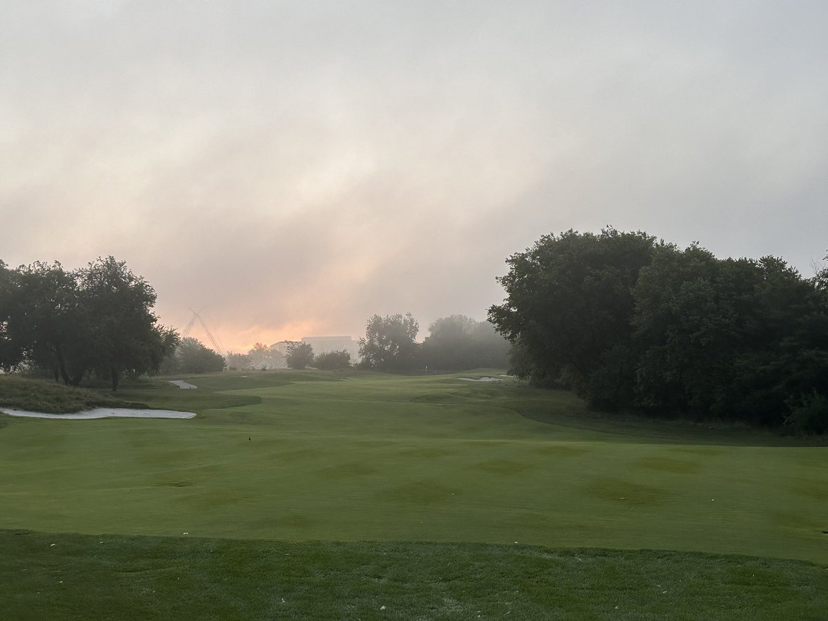 Taylor Olson tweet media