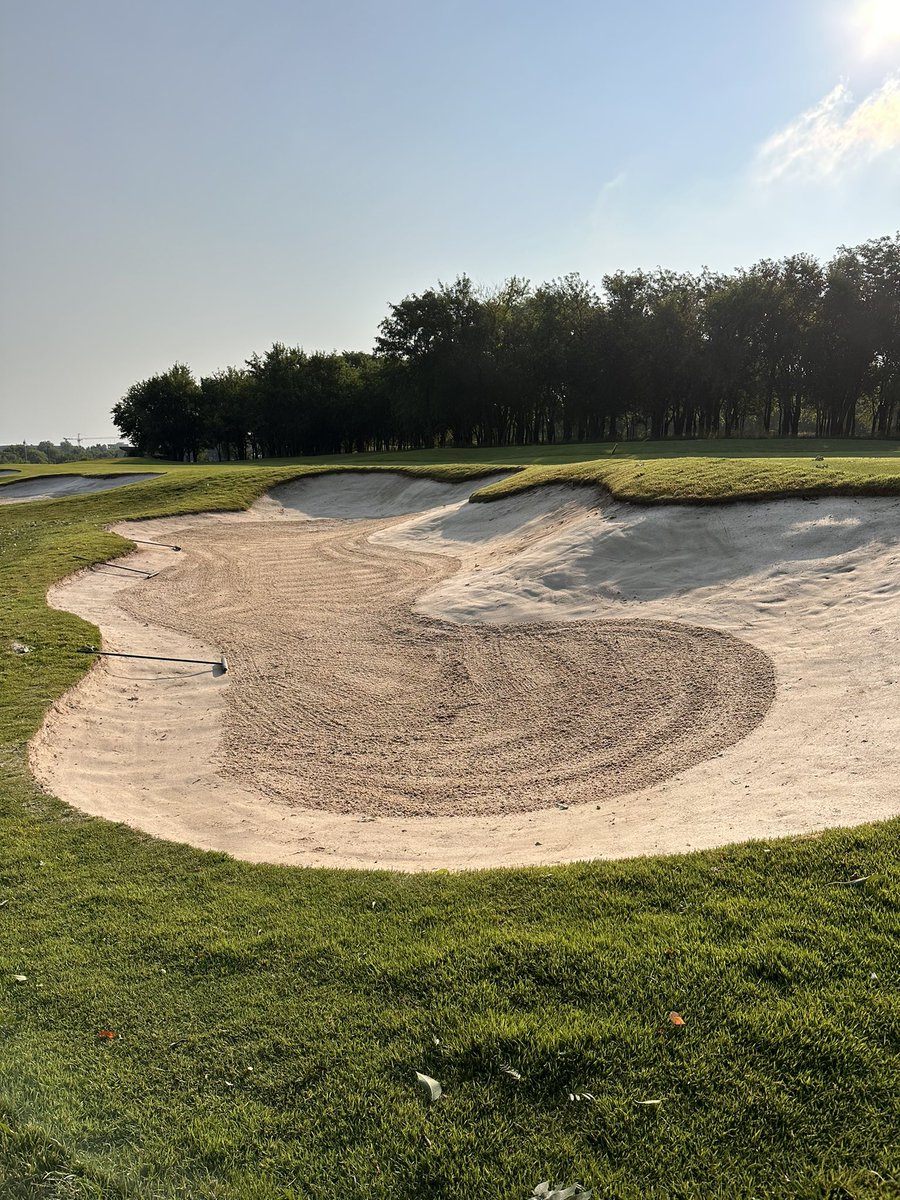 Taylor Olson tweet media