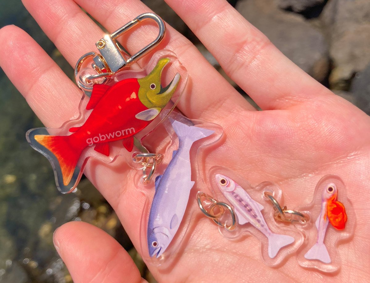 gobwormshop's tweet photo. salmon lifecycle charms are available now (in a limited number)!!! 🐟🐟🐟 https://t.co/LMVOyKozJA