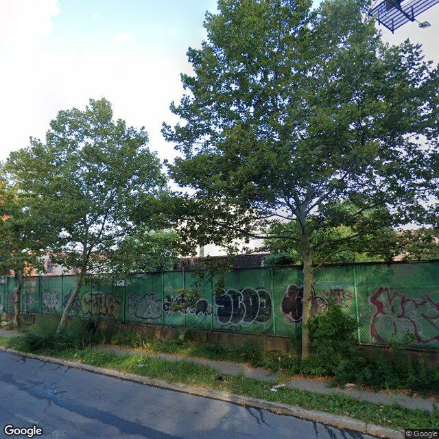 everytreenyc's tweet photo. It takes one to grow one. Love your local tree. -London planetree, 580 East 134 Street, Bronx https://t.co/lCoZ8E5Ye9