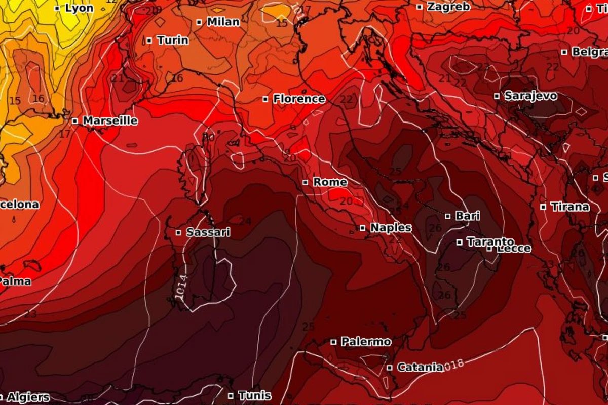 George Tsakraklides tweet media