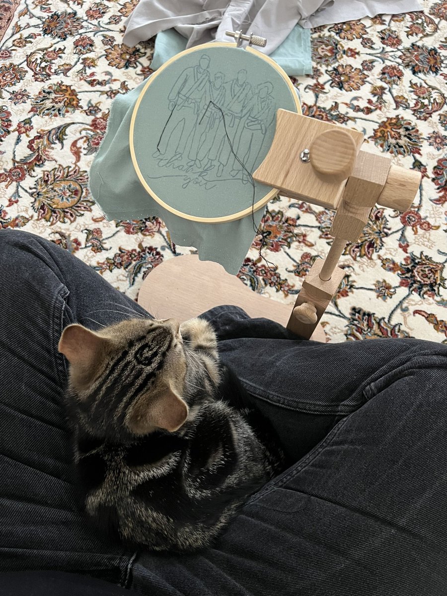 seertorshi's tweet photo. i can’t even begin to tell you how having a kitten has changed my life i actually can’t deal with how much i love him https://t.co/HHjMU6jNk3