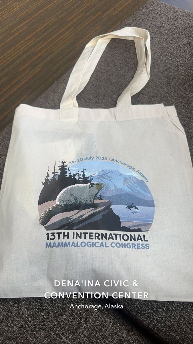 AshlynnCanode's tweet photo. #IMC13!! It’s going to be a great week @MammalMeetings https://t.co/yjzDyr1Ap7