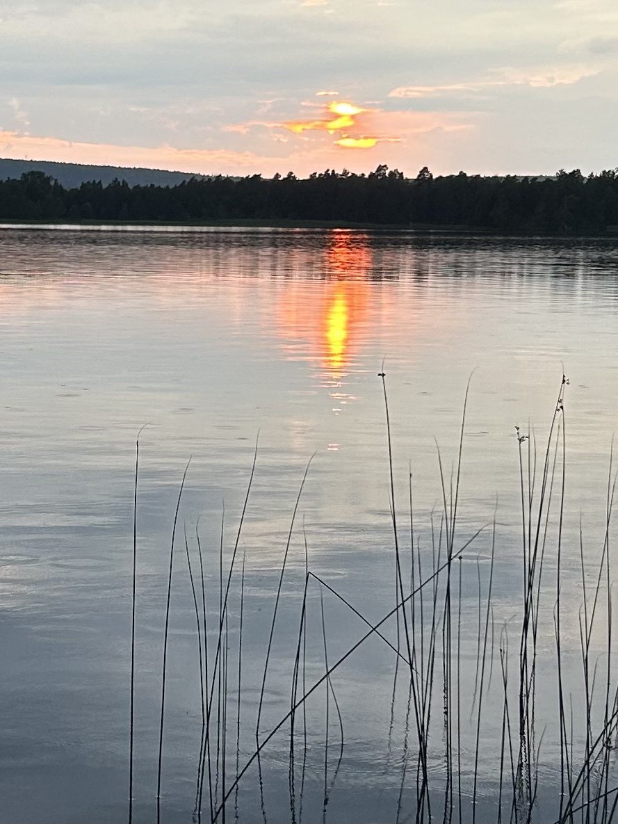 Jonas Wessman tweet media