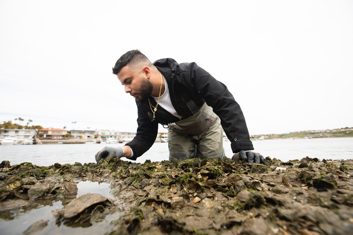 brandoyster_'s tweet photo. Happy #LatinoConservationWeek! I’m a first-gen salvadoran american grad student at @csufbio increasing ecosystem services from nature-based solutions such as living shorelines! I center social equity in these conservation efforts 🦪🌊🌱 #LCW2023 #LCW2023Kickoff https://t.co/V27MrDuQH5