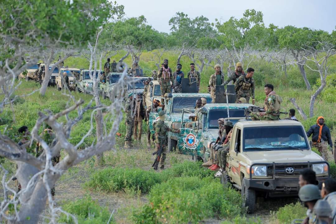 AmbassadorIdd's tweet photo. #Jubaland #AlQaida-foreign national
Jubaland forces conducted operation & captured three stragic towns #Xagar, #Welmarow & #village away from 20 km from #Jilib #Headquarter of Al-Qaida affiliated Al-Shabab killing many militants mostly #foreign #nationals.
ALSH held towns..1/2 https://t.co/UBdsLMAZ4W