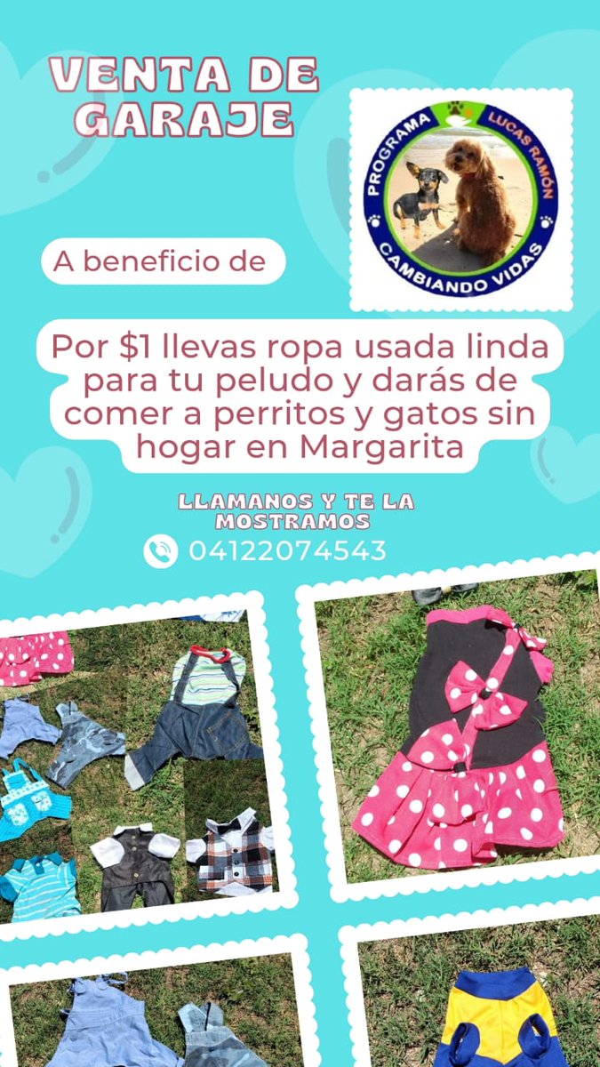 cicutica's tweet photo. Ayúdanos a ayudar a los peluditos sin hogar de la isla de Margarita, comprando ropita para mascotas, usada, y en buen estado. $1 por prenda. #Margarita #programaLucasRamon @FRAENKELE @LeidyCarpio1980 https://t.co/GZmzzmtw2L