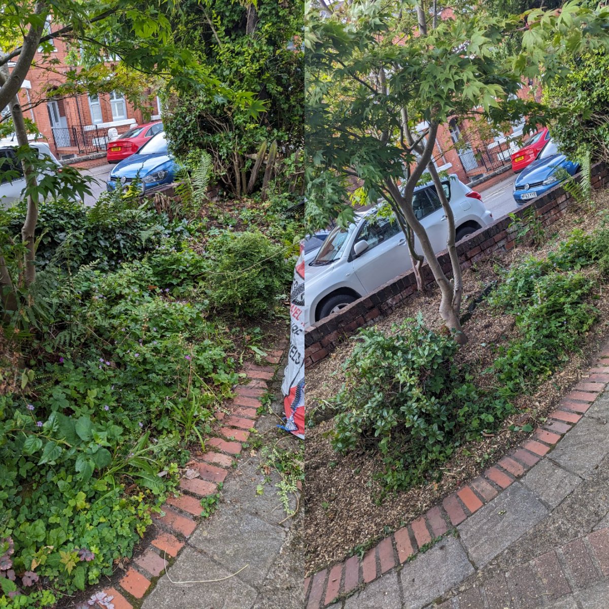 Another garden transformed today. A full cut and tidy to bring this wonderful #westdidsbury back to its former glory 
#gardener #didsbury #heatonmoor #withington #cheadle
eco-gardener.co.uk