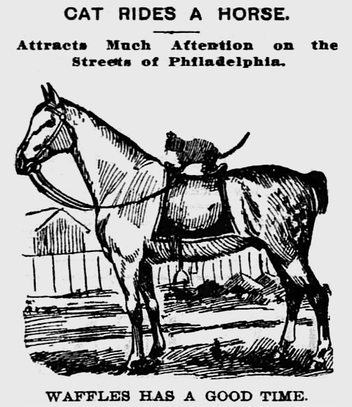 doctorow's tweet image. Lawrence Daily Journal, Kansas, March 18, 1898 yesterdaysprint.tumblr.com/post/722940158…