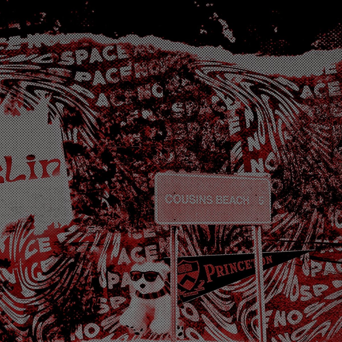 ⸝ 𝓼͟𝚃𝙴𝚅𝙴. tweet media