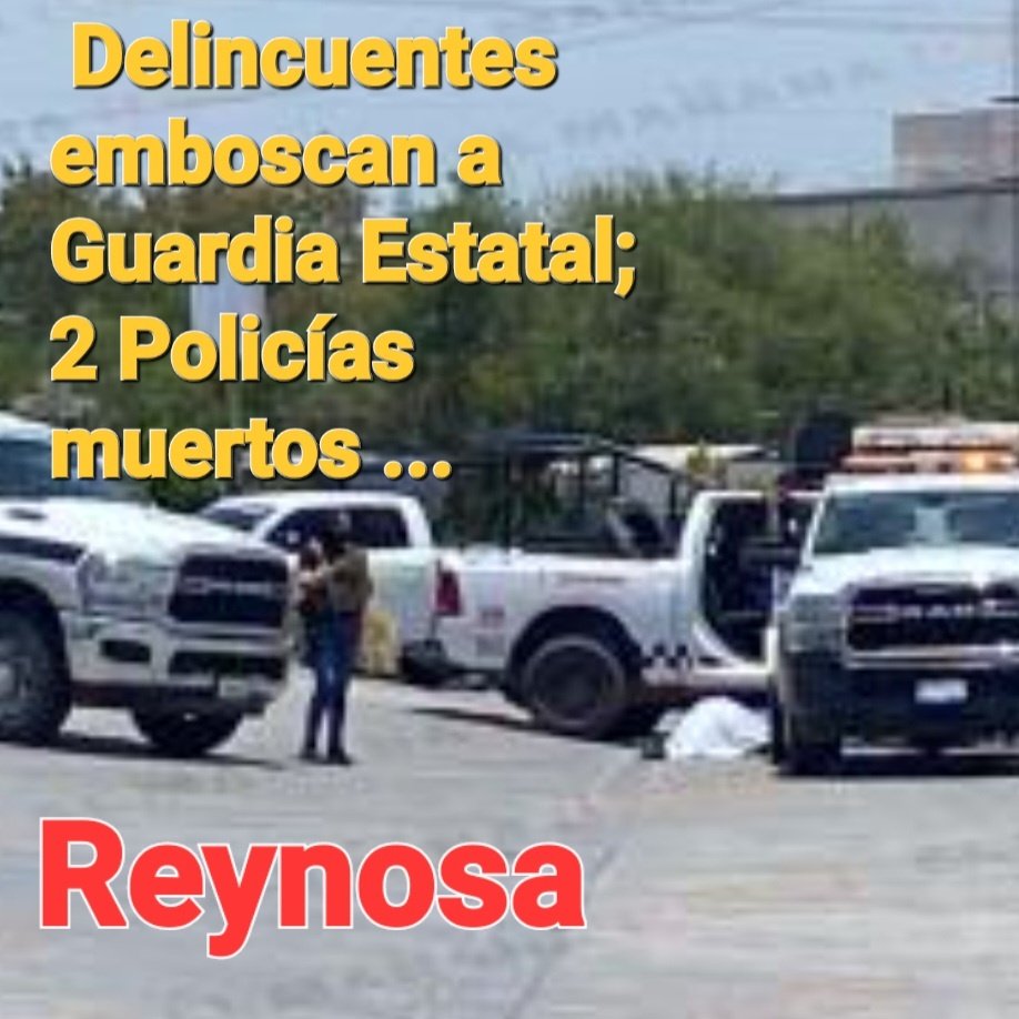 eldiario43's tweet photo. En #Reynosa 🔴
➡️ Esta tarde
✴️ Delincuentes #Emboscan a Guardia Estatal, quedando como saldo 2 policias🚨 muertos y dos heridos , los hechos ocurrieron al rededor de la 1:00 pm, sobre el blvd. Morelos de esta ciudad. #Noticias https://t.co/xMIqYSVPra ✅️ #Tamaulipas https://t.co/QrlWyuMe8H