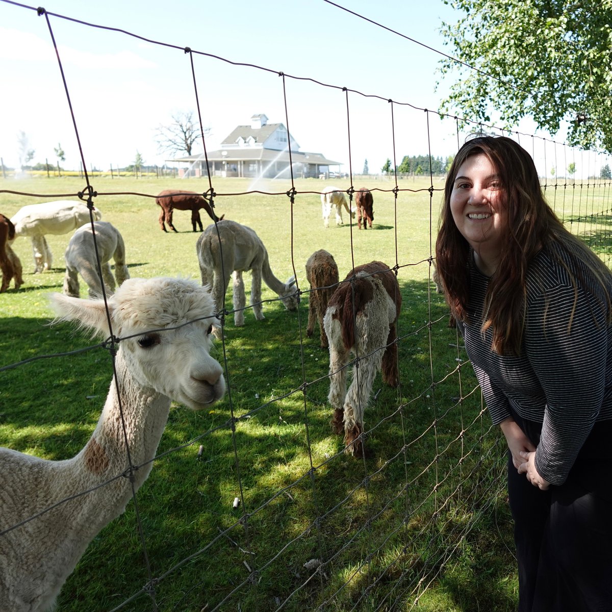 Bloganueva's tweet photo. Sarah and I went to Oregon! She saw this Airbnb on TikTok called Alpaca Farm and Gardens months ago and booked it on a whim. This was probably the most wonderful, lovely vacation we’ve ever been on, and we got some much needed r&amp;r. https://t.co/FvRtGfpBEW #blog #bloganueva https://t.co/vfsRPkO7wF