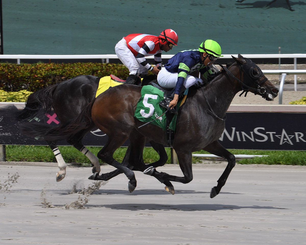 Gulfstream Park (@gulfstreampark) on Twitter photo Rebelde defeats Rhymes Like Dimes to win race 6, apprentice <a href="/AngelGMorales/">Angel Morales</a> up for trainer <a href="/AckerStables/">Scott D. Acker Stables</a>. #GulfstreamPark #RoyalPalmMeet Rebelde defeats Rhymes Like Dimes to win race 6, apprentice <a href="/AngelGMorales/">Angel Morales</a> up for trainer <a href="/AckerStables/">Scott D. Acker Stables</a>. #GulfstreamPark #RoyalPalmMeet