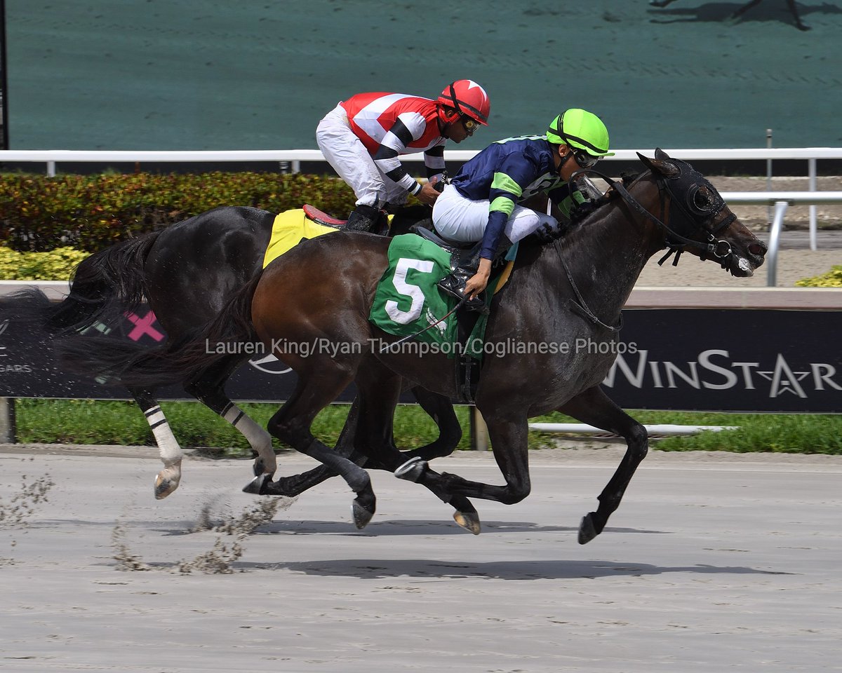 VideoHipico (@videohipico) on Twitter photo More at VideoHipico.com
Rebelde defeats Rhymes Like Dimes to win race 6, apprentice <a href="/AngelGMorales/">Angel Morales</a> up for trainer <a href="/AckerStables/">Scott D. Acker Stables</a>. #GulfstreamPark #RoyalPalmMeet
Rebelde derrota a Rhymes Like Dimes para ganar la 6.ª carrera, guió el aprendiz Ángel Morales para Scott More at VideoHipico.com
Rebelde defeats Rhymes Like Dimes to win race 6, apprentice <a href="/AngelGMorales/">Angel Morales</a> up for trainer <a href="/AckerStables/">Scott D. Acker Stables</a>. #GulfstreamPark #RoyalPalmMeet
Rebelde derrota a Rhymes Like Dimes para ganar la 6.ª carrera, guió el aprendiz Ángel Morales para Scott