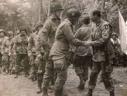 Norman Sibbald tweet media