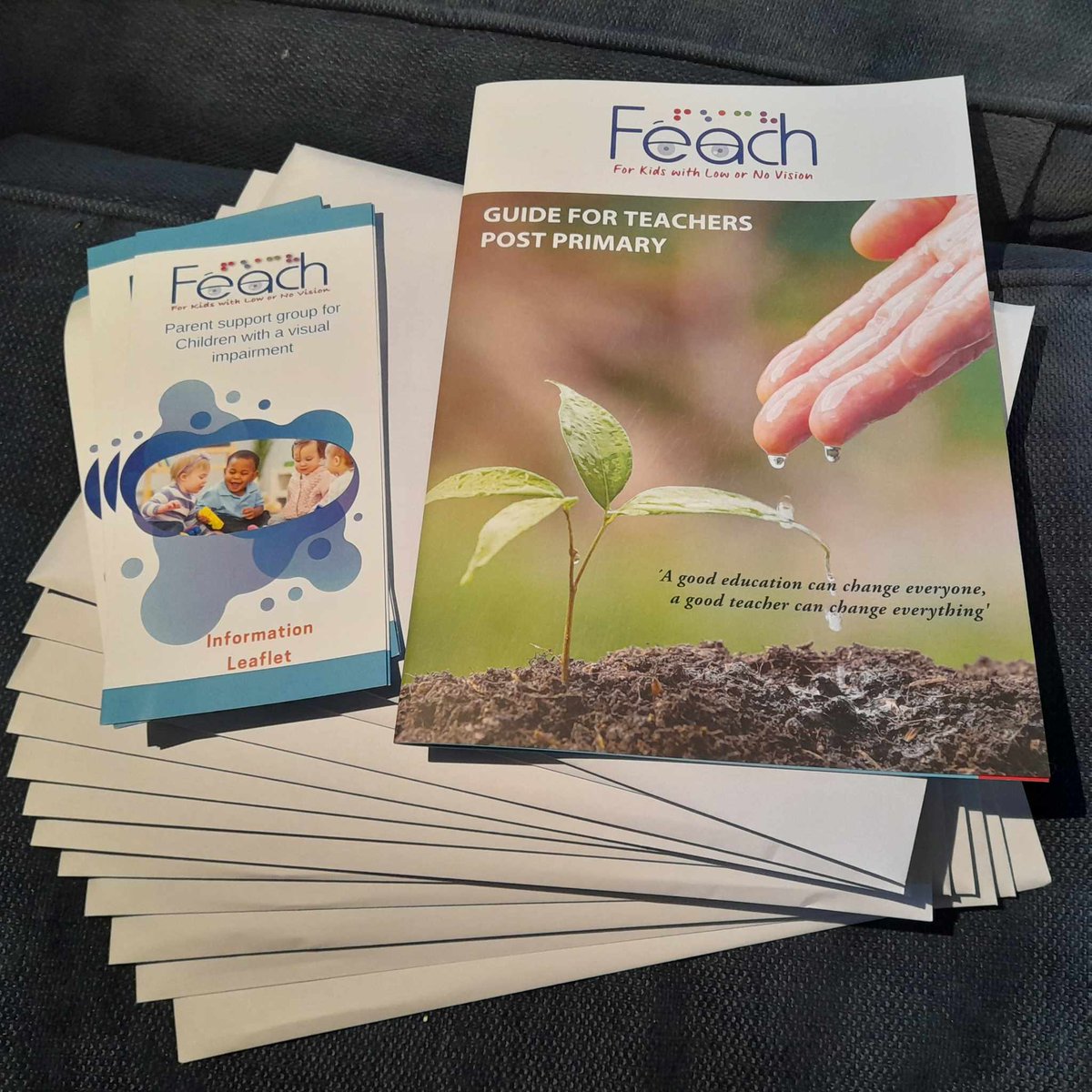 FeachIreland tweet picture