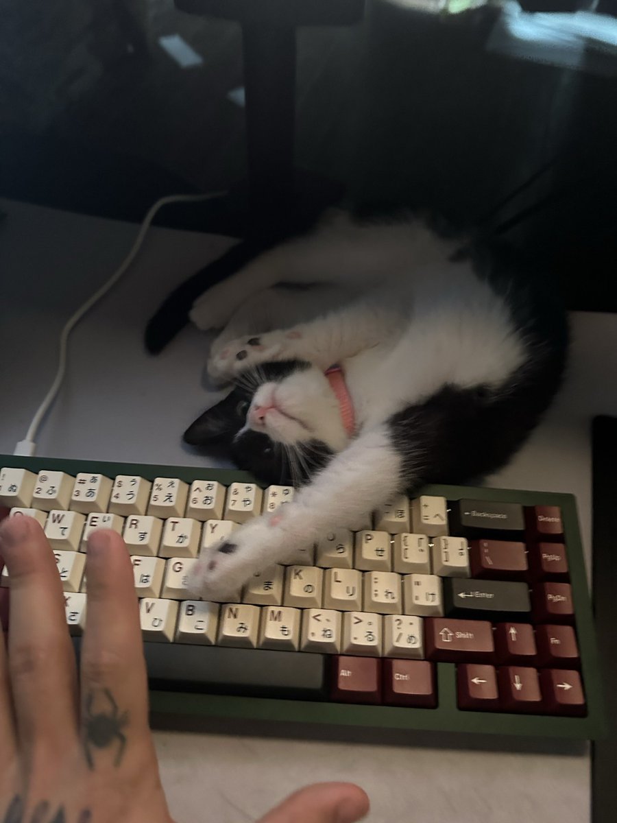 superfkr's tweet photo. gamin with penny https://t.co/1pbAsj6VME https://t.co/MlHcKY83Eg