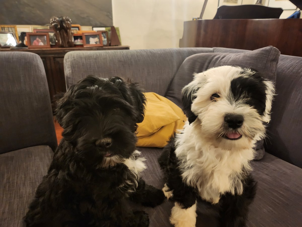 Professor Sally Marlow tweet media