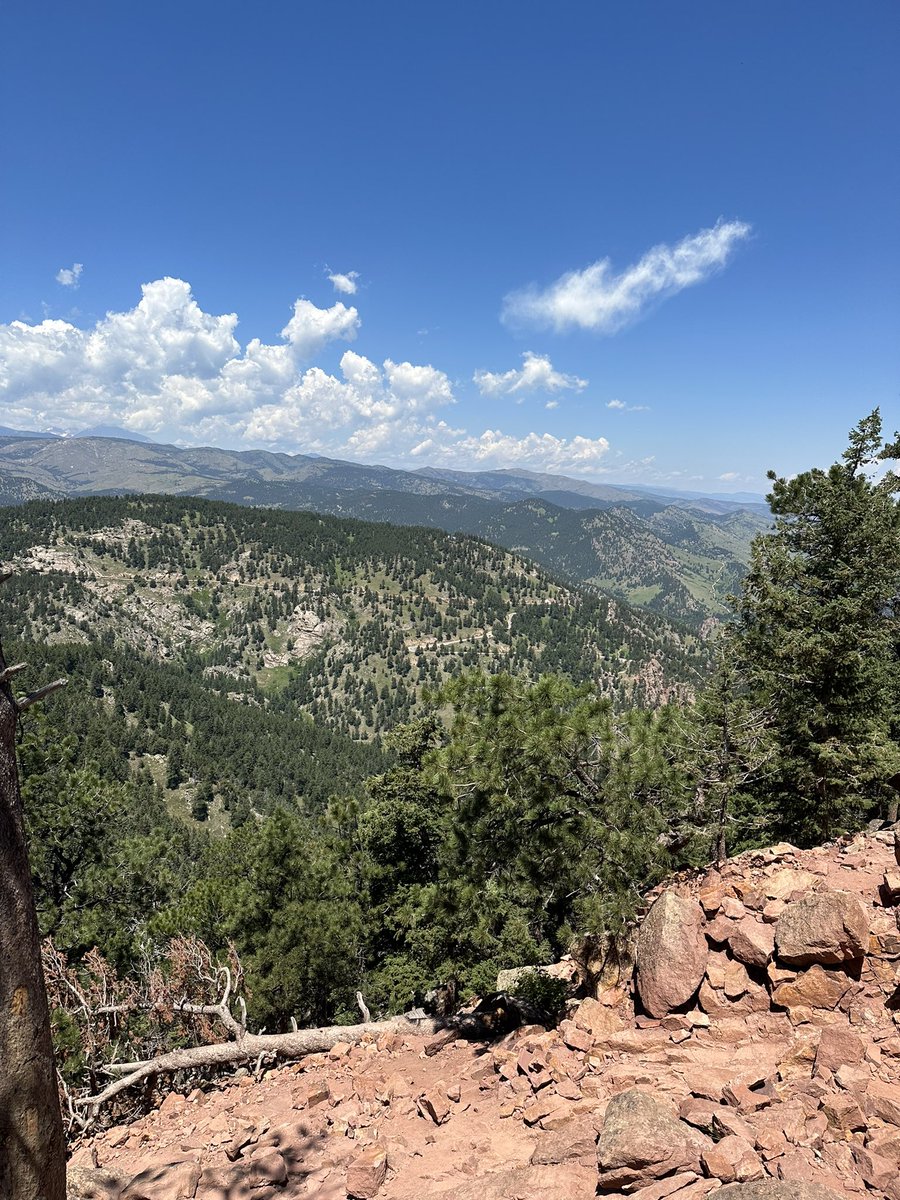 ccsupportsyou's tweet photo. Just finished @MelissaBrayden ‘s Marigold. A happy distraction from one of the most physically demanding hikes I’ve ever endured. #startedfromthebottomnowimhere https://t.co/zrARLgbFGD