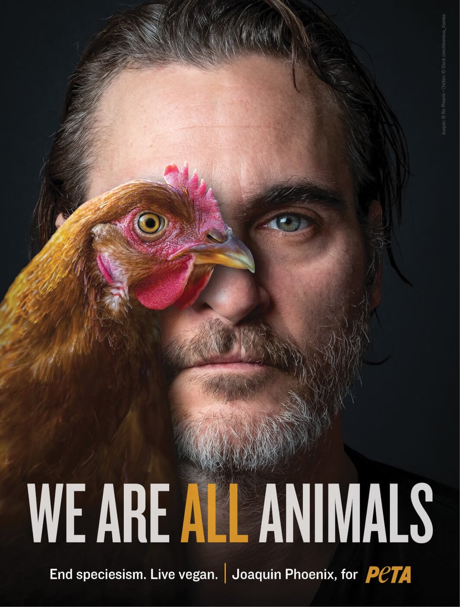 angie_karan's tweet photo. "When we look at the world through another animal's eyes, we see that inside we're all the same - and that we all deserve to live free from suffering." 

- Joaquin Phoenix. https://t.co/eQipxleqNG