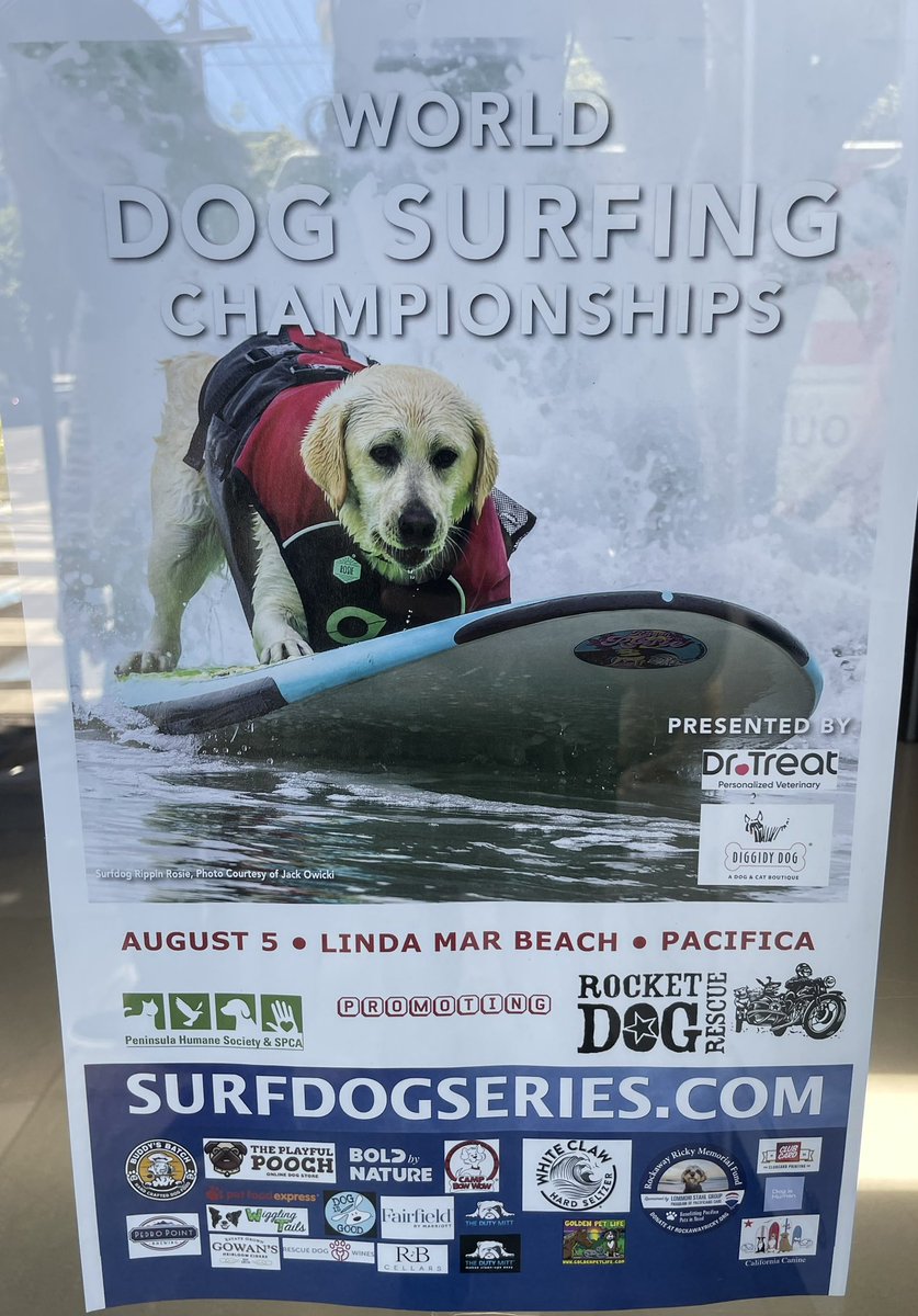 Olivia Moore tweet media