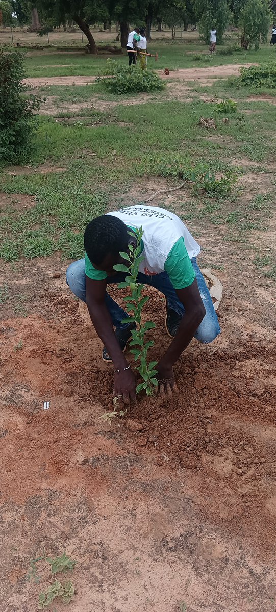 MoussaSanfo18's tweet photo. 15 juillet journée nationale de l'arbre, opération de reboisement dans la commune de Arbolé province du passoré dans la cours du lycée Taryam
#APEDR
#INADESformation
#clubverts https://t.co/4cralBOeEo