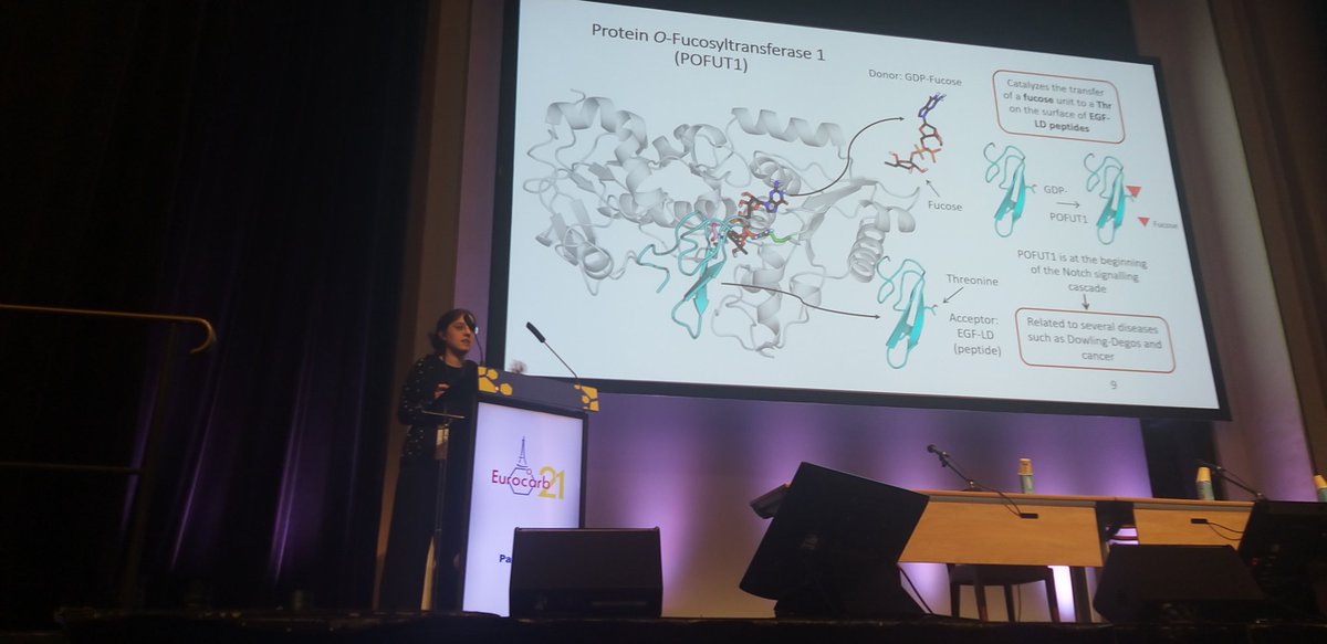 Carme Rovira (@crovira_bcelona) on Twitter photo Presentations from our group at <a href="/EUROCARB21/">Eurocarb21</a>. My "duo" with <a href="/m_abmorais/">Mariana Morais</a>. Oral comms. from <a href="/alba_nin/">Alba Nin</a>, <a href="/Liao_Qinghua/">Qinghua Liao</a> and Beatriz Piniello. #eurocarb21 Presentations from our group at <a href="/EUROCARB21/">Eurocarb21</a>. My "duo" with <a href="/m_abmorais/">Mariana Morais</a>. Oral comms. from <a href="/alba_nin/">Alba Nin</a>, <a href="/Liao_Qinghua/">Qinghua Liao</a> and Beatriz Piniello. #eurocarb21