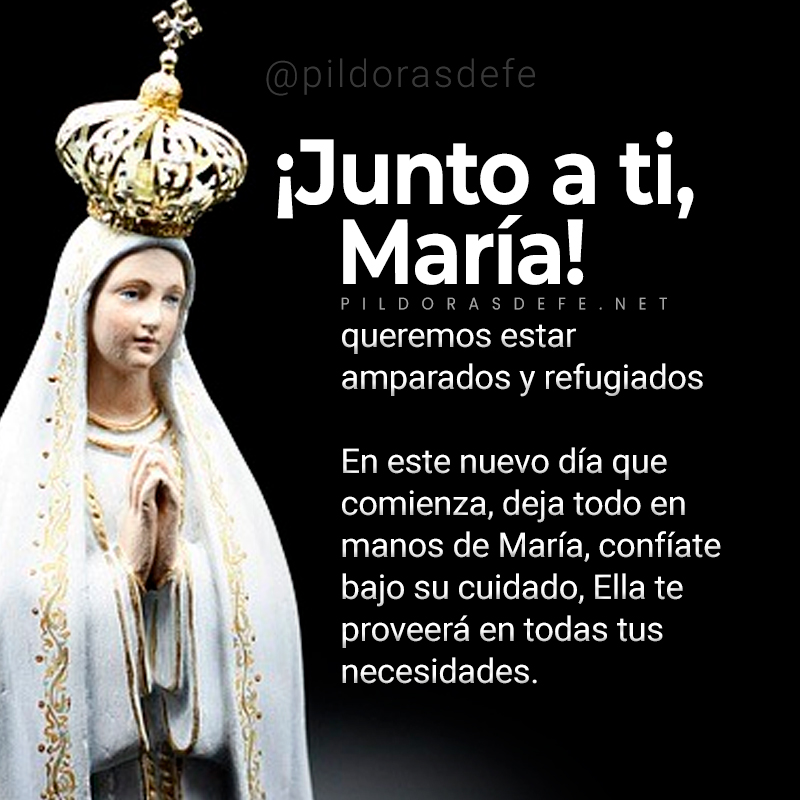 Pildorasdefe's tweet photo. 💕 Guíanos, Santa Madre de Dios, a través de todos los desafíos que vamos a afrontar en este nuevo día. Nos cobijamos en tu mano para sentir tu amorosa protección de madre. https://t.co/EkbqYalYMl