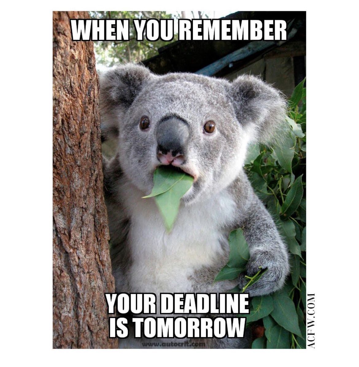 I call this deadline shock. What helps you stay on top of your writing project so you don’t get hit by deadline shock?

#writerscommunity #writershelpingwriters #writingcommunity #writingadvice