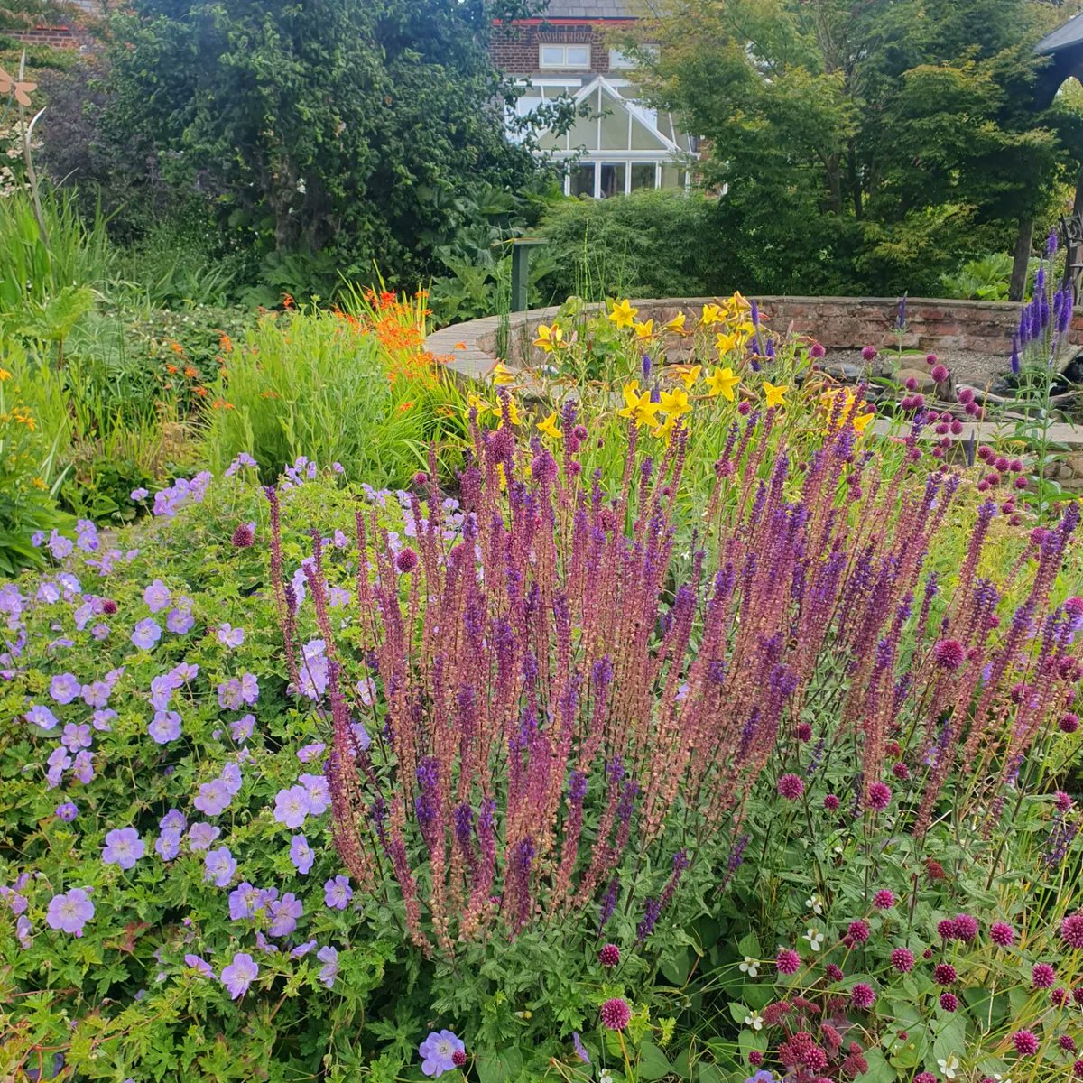 Lovely trip to @laskeyfarm today who open their beautiful garden to make money for charity including @TheQNI and also serve the best tea and cake #gardensandhealth #queensnurse