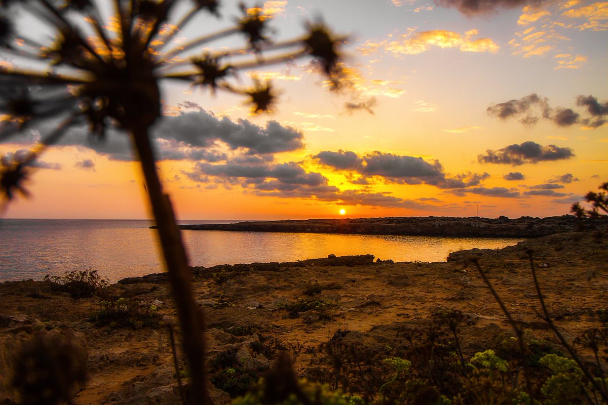 KathC1976's tweet photo. Well it's been a very wet day here today 🌧 so I've found myself a Cyprus sunset to cheer me up. Such a beautiful part of our world ❤. #Cyprus #cyprussunset #sky #sunset #sunsetphotography #sunsetlovers #NaturePhotography #TwitterNatureCommunity https://t.co/6DomwxgcYI
