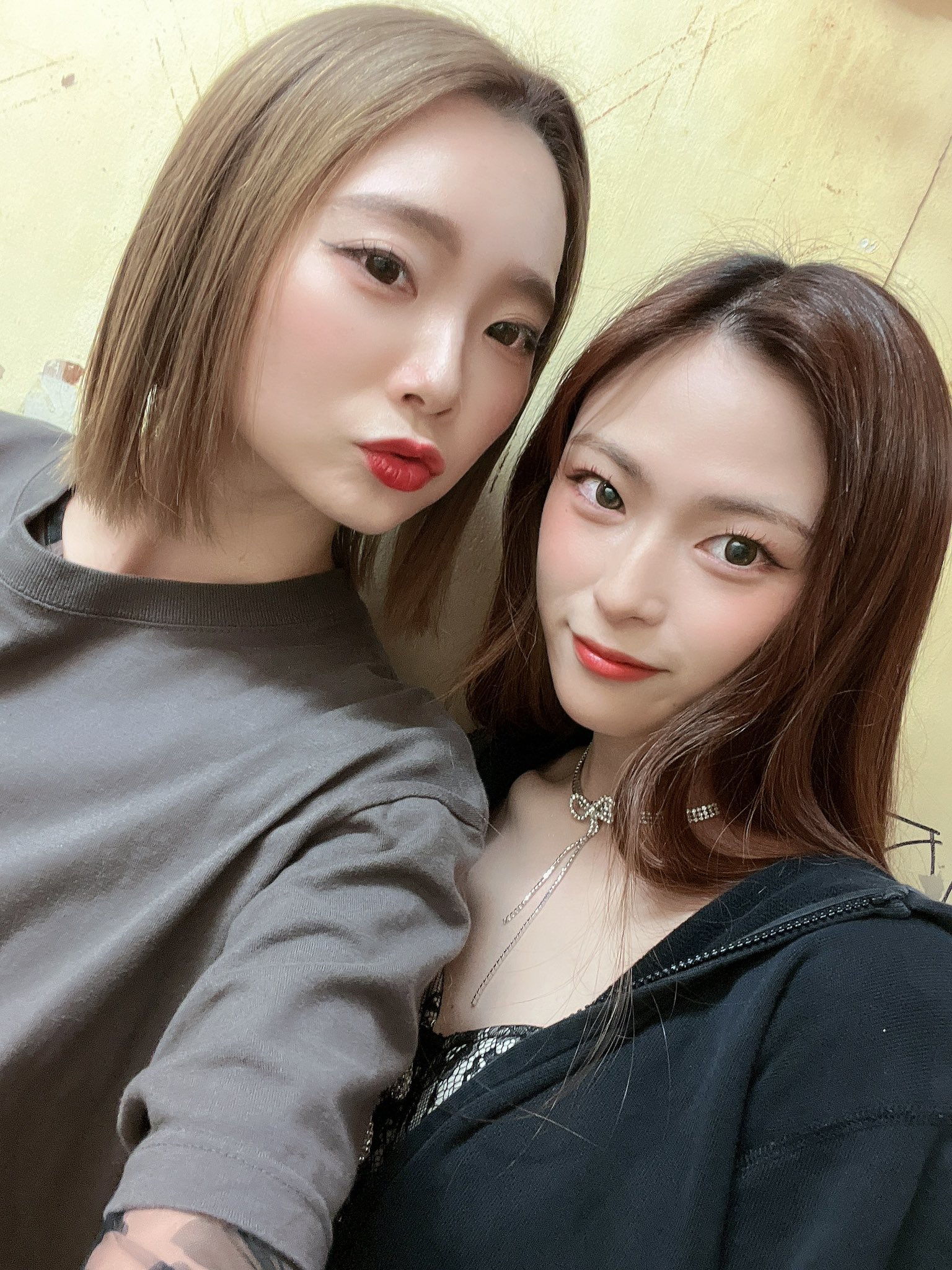 藤田真衣🐷💛 on Twitter 