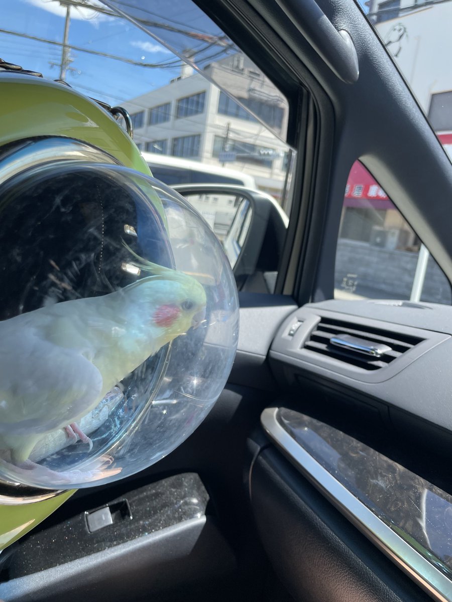 お天気だからドライブに行こう〜😊

もちろんおはぎもお弁当持ってGO！