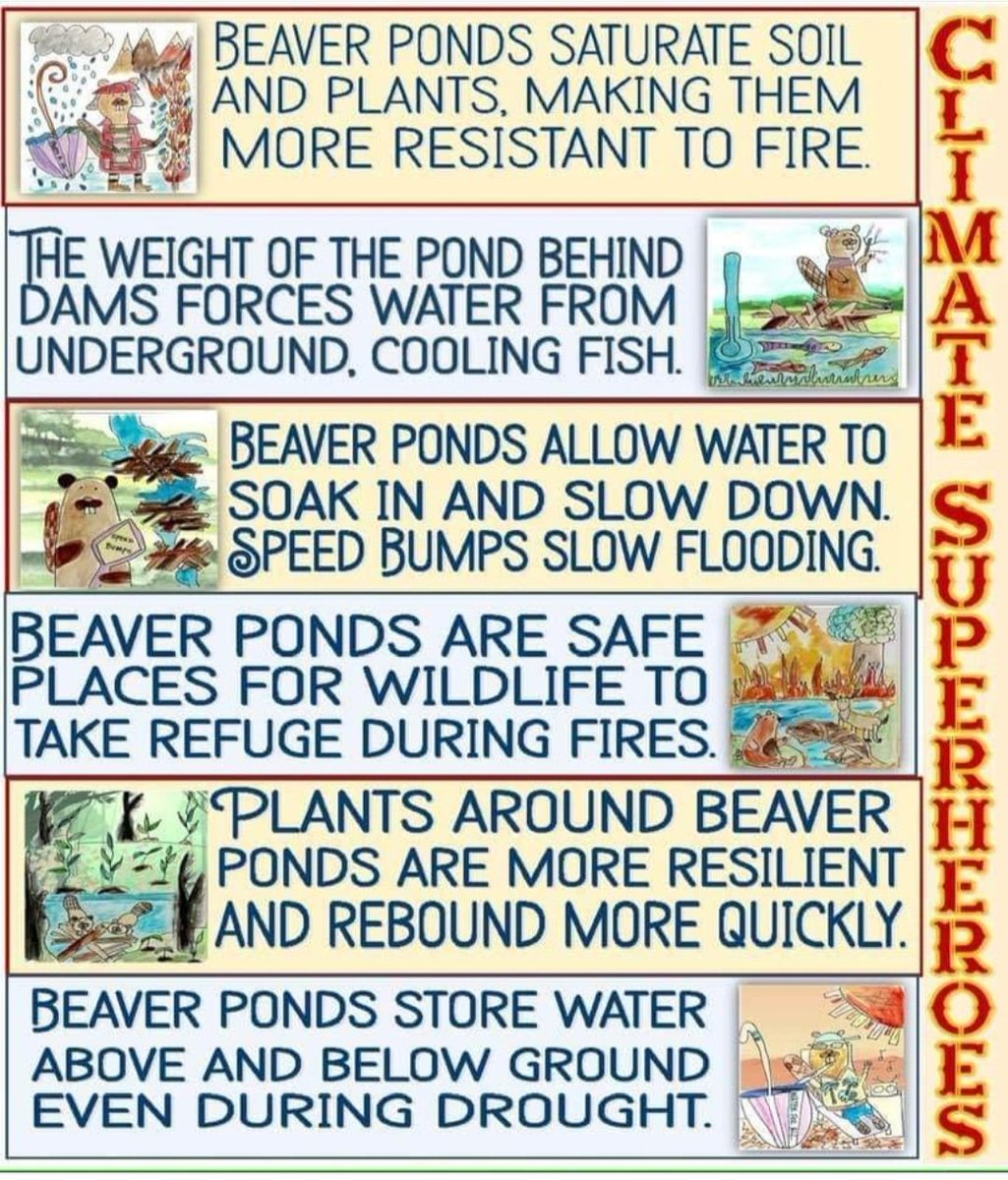 PennieOpal's tweet image. 