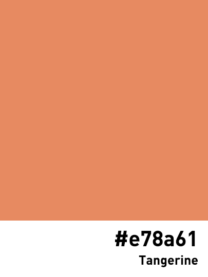 CodesColor's tweet image. #e78a61 #tangerine.jpg