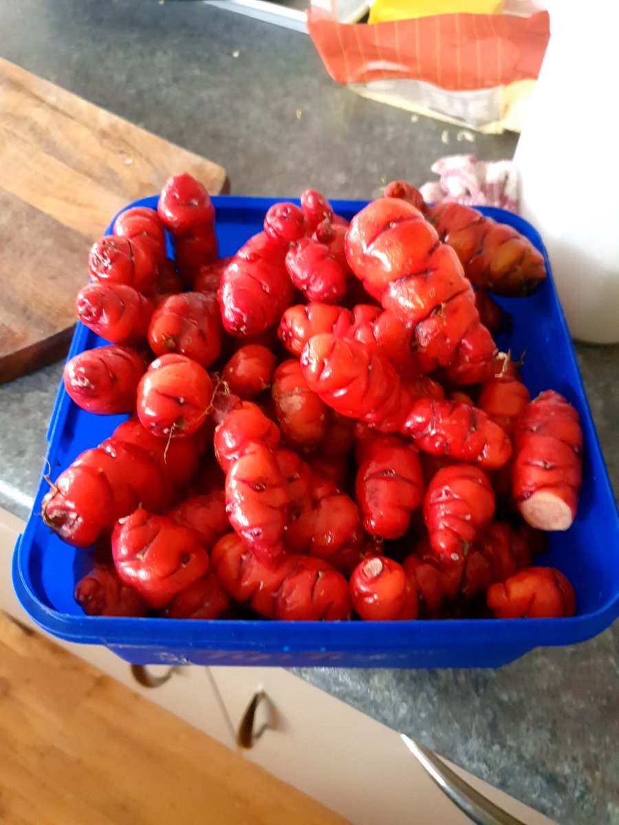 With all the 🌧 this year, I just let the vege garden go because I was very unmotivated to garden in mud.

It has been fine all weekend so we thought we better start getting prepped for spring...

Who knew you could plant and forget YAMS and get a bumper crop!!! 
5kgs worth 🙌