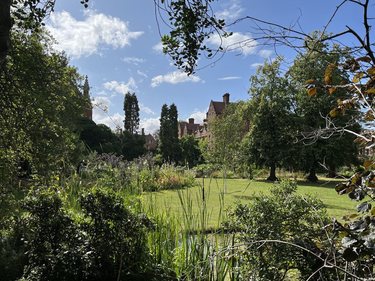 The Selwyn gardens showing the benefits of a July with above average rainfall. #Green