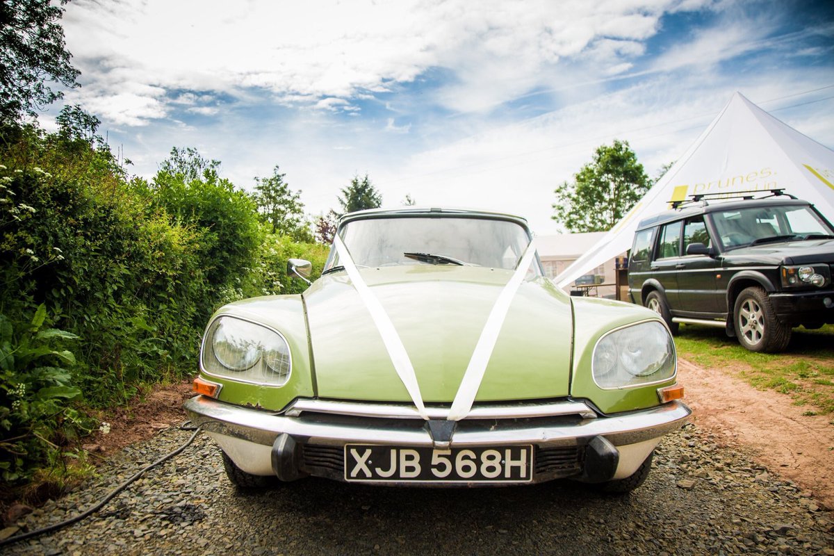 Peter Cook tweet media