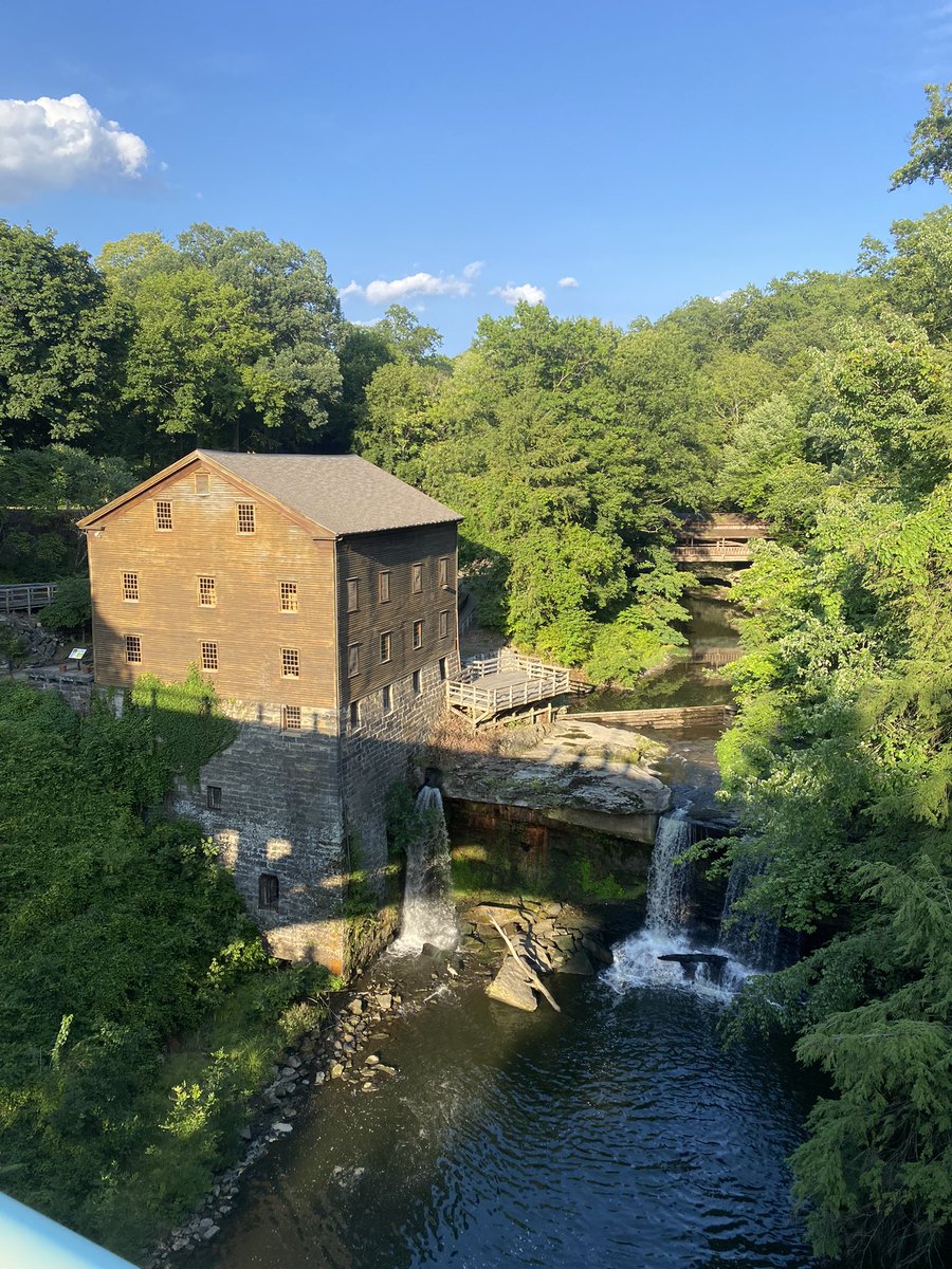 Carson Essad tweet media