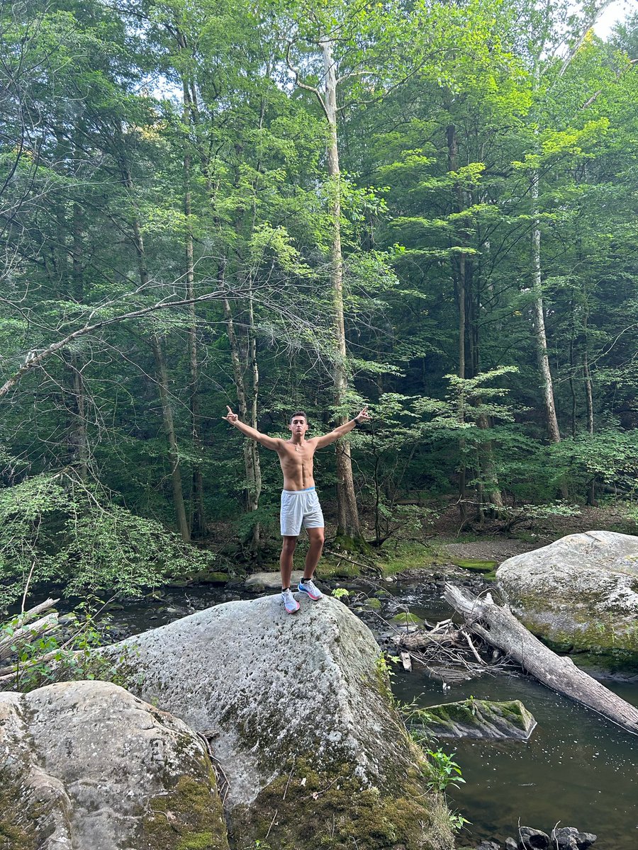 Carson Essad tweet media