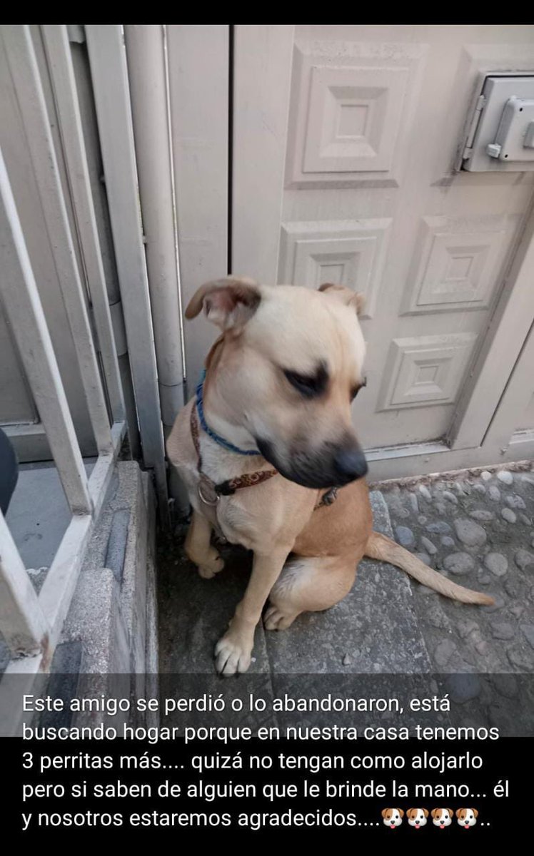 Uh está este pelotudo de Echarri el defensor de la Chorra  Condenada!🤦\u200d♀️Chau me voy a ver a Flor de la V en los #Profesionales  #Intrusos, image size:748x1200