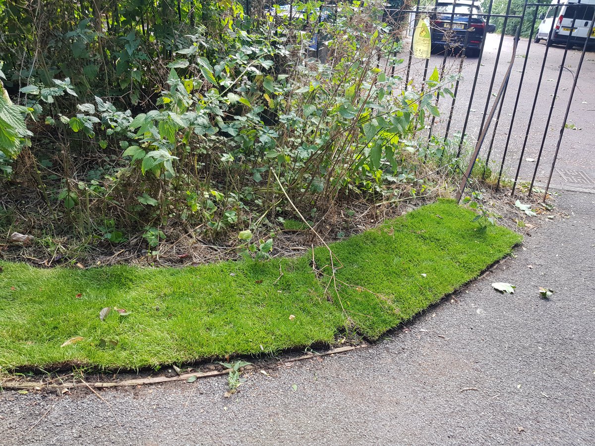 Someone has turfed part of a woodland path edge in #OneTreeHill nature reserve.  

Is it a good look?!