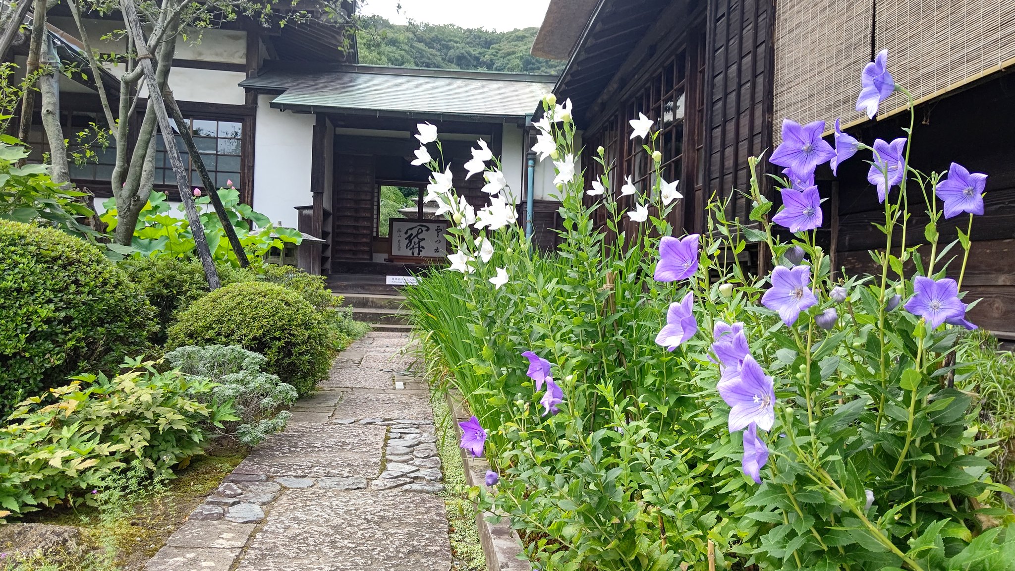 ひとみん KEIYO新製品 新たにバイブレーション機能を追加した居眠り運転